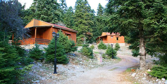 ΠΑΡΝΩΝΑΣ 19-20/1/2019 (κοπή πίτας)