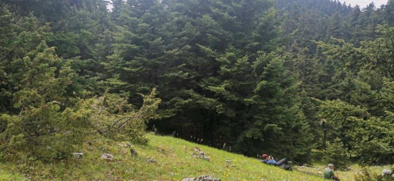 ΝΕΡΑΪΔΟΣΠΗΛΙΑ (ΠΑΡΝΑΣΣΟΣ)