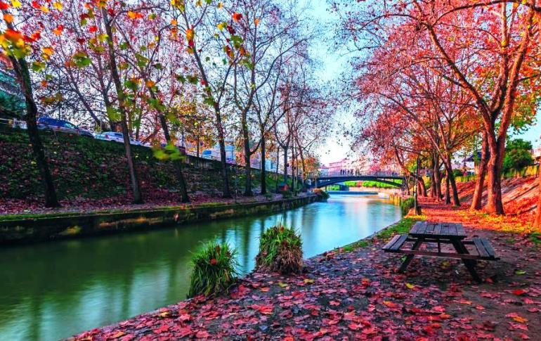 ΤΡΙΚΑΛΑ - ΜΥΛΟΣ ΞΩΤΙΚΩΝ