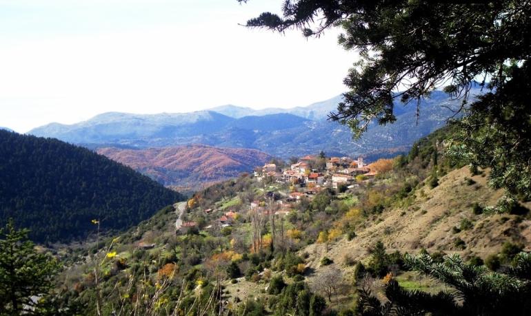 ΡΟΕΙΝΟ - ΚΟΡΥΦΗ ΑΪΝΤΙΝΗ