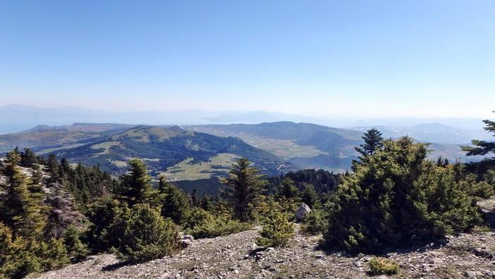 ΜΙΚΡΗ ΖΗΡΕΙΑ