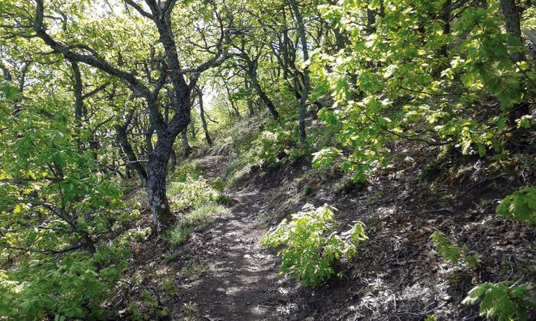 ΚΝΗΜΙΔΑ 27/3/2016
