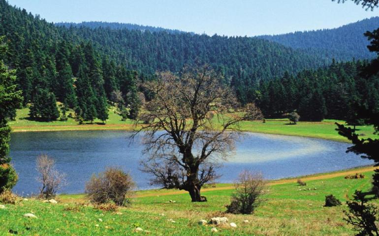 ΚΑΛΛΙΔΡΟΜΟ