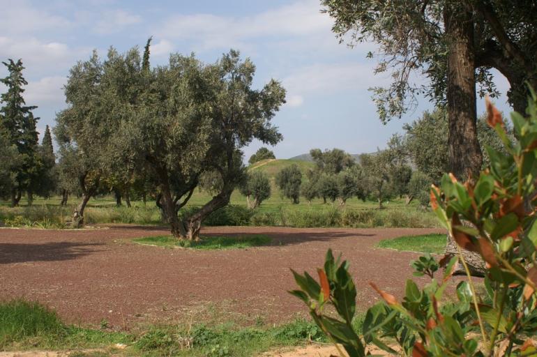 ΜΟΝΟΗΜΕΡΗ ΕΚΔΡΟΜΗ ΙΑΝΟΥΑΡΙΟΥ 2015