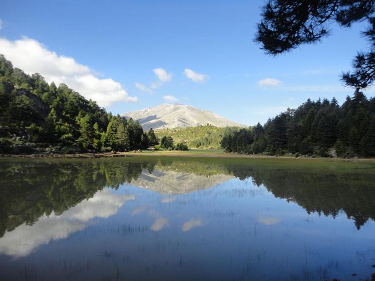 ΛΙΜΝΗ ΔΑΣΙΟΥ 11/2