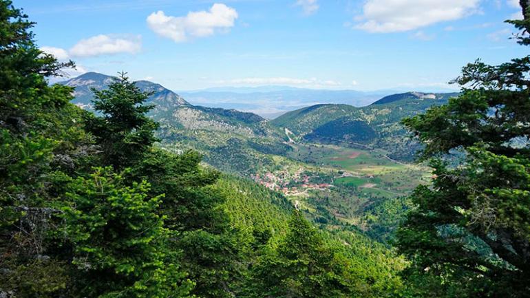 ΕΛΙΚΩΝΑΣ 10/3/2024