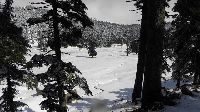 ΤΑΝΑΪΔΑ 4/3/2018