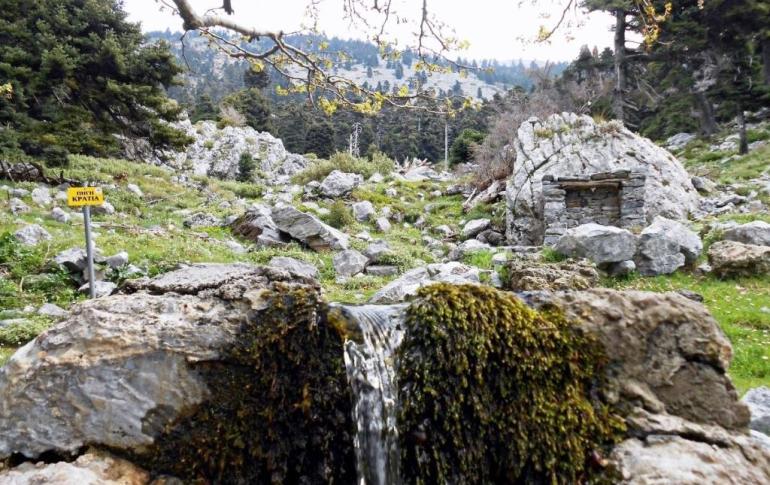 ΦΑΡΑΓΓΙ ΑΓΑΛΗΣ (ΚΟΠΗ ΠΙΤΑΣ)