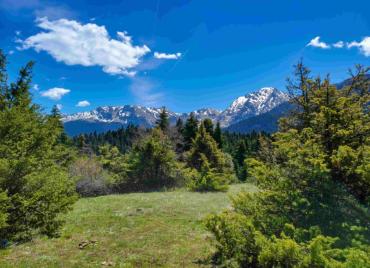 ΣΤΡΩΜΗ ΦΩΚΙΔΑΣ 16/11/2025