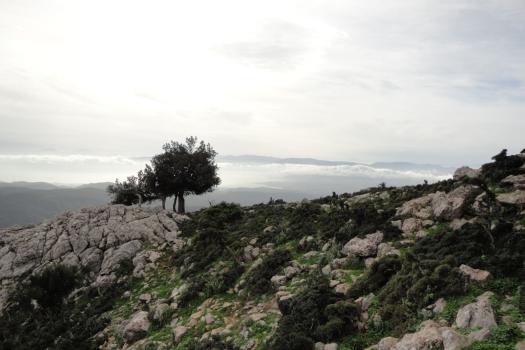 ΓΕΡΑΝΕΙΑ ΟΡΗ 30/11