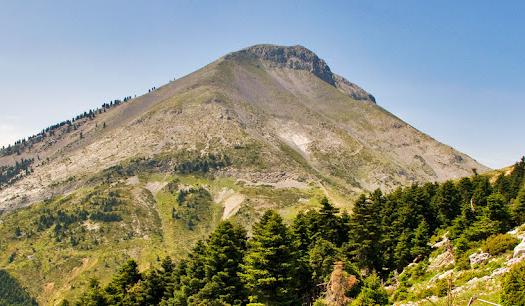 Add Image Description