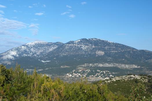 Add Image Description