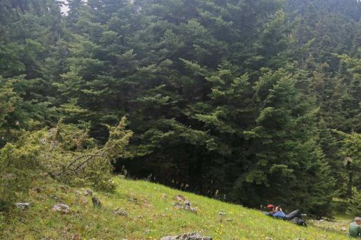 Add Image Description