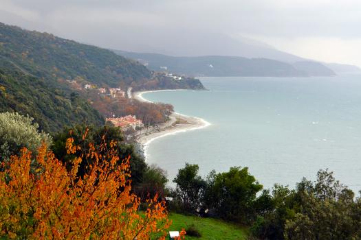 Add Image Description