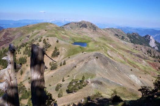 Add Image Description