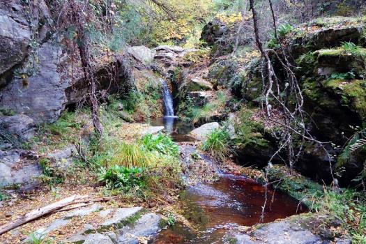 Add Image Description