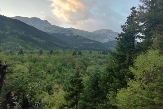 ΠΑΡΝΗΘΑ 14/12