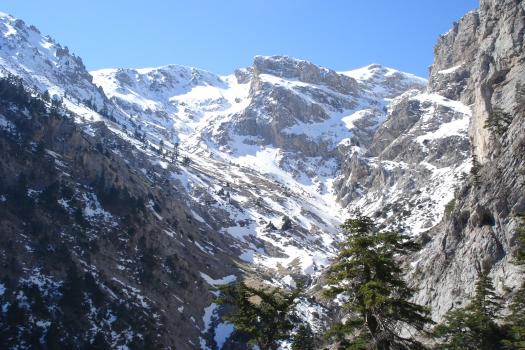 Add Image Description