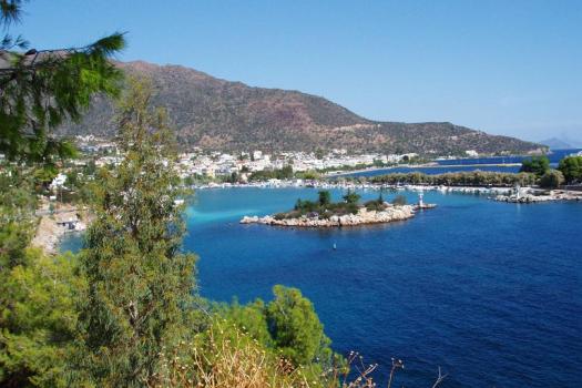 Add Image Description