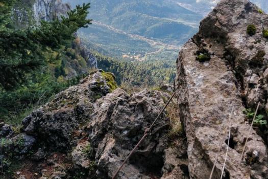 Add Image Description