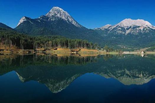 Add Image Description