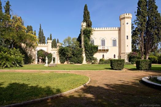 Add Image Description