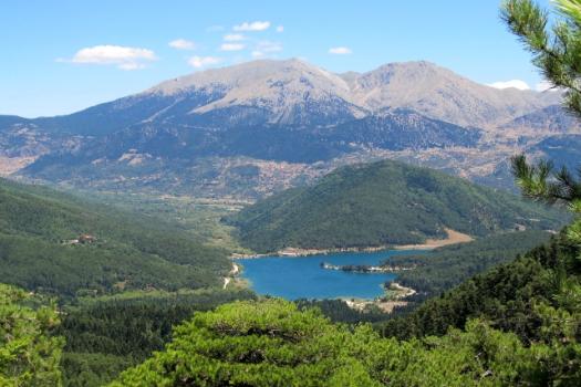 Add Image Description