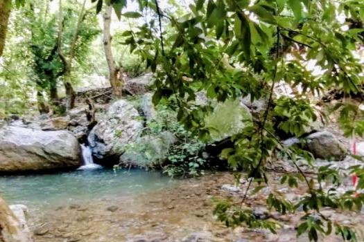 Add Image Description