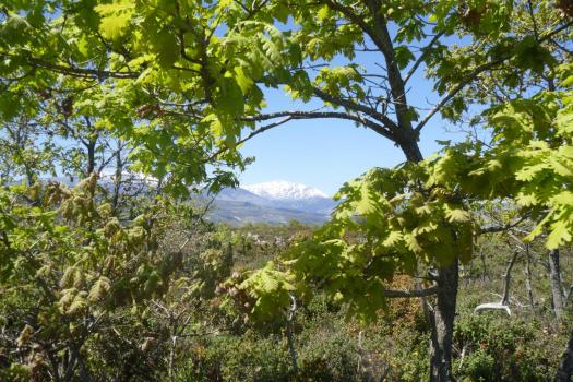 Add Image Description