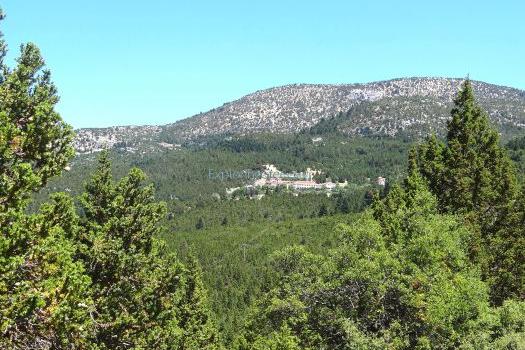 Add Image Description