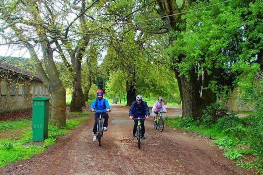 Add Image Description