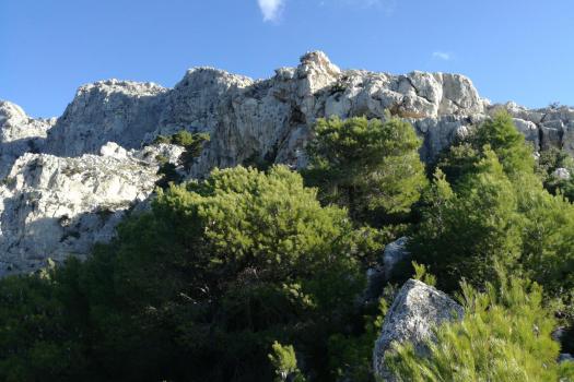 Add Image Description