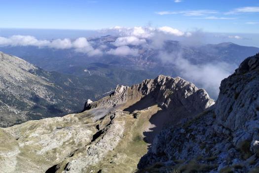 Add Image Description