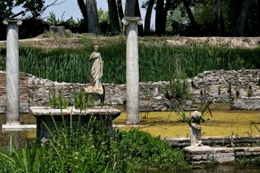 Add Image Description