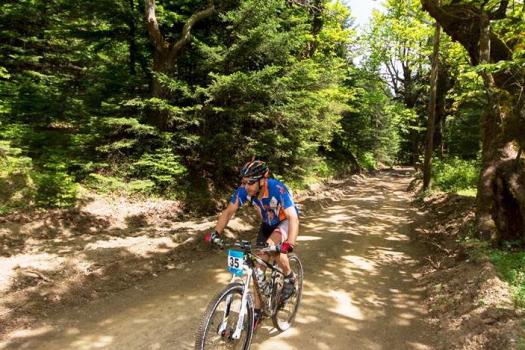 Add Image Description