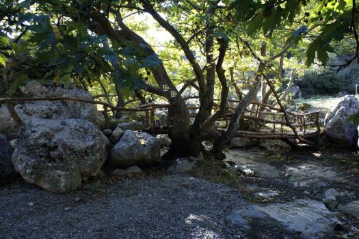 Add Image Description