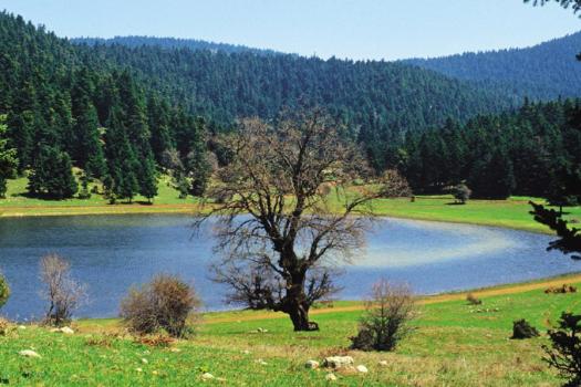 Add Image Description