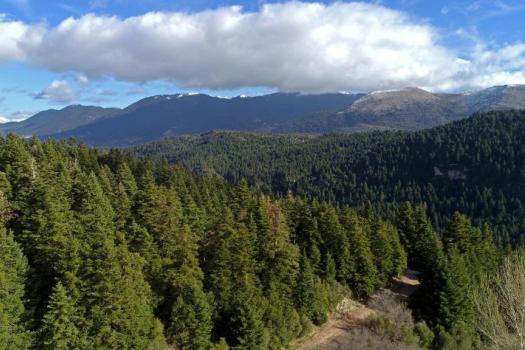 Add Image Description