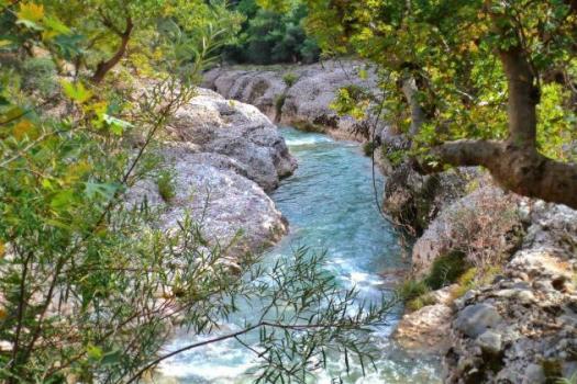 Add Image Description