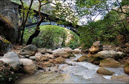 Add Image Description