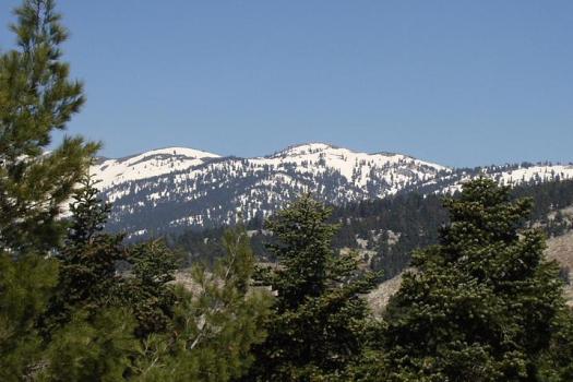 Add Image Description