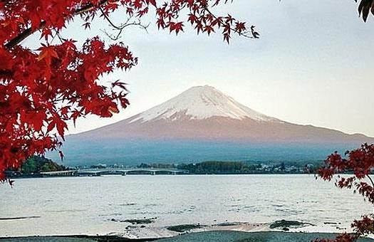 Add Image Description