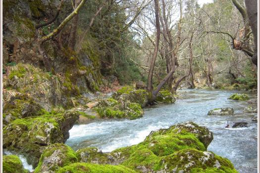 Add Image Description