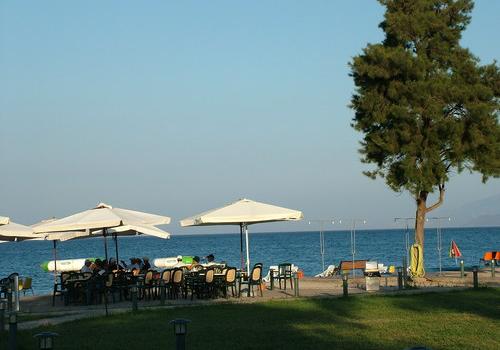 Add Image Description