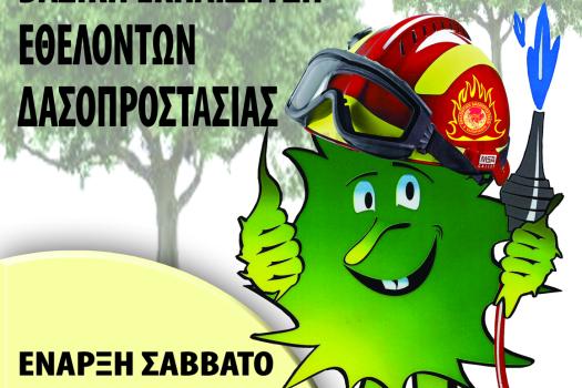 Add Image Description