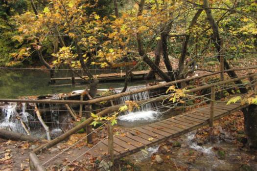 Add Image Description