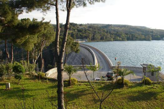 Add Image Description