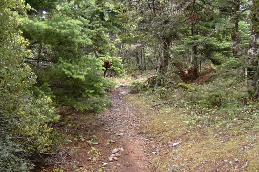 Add Image Description