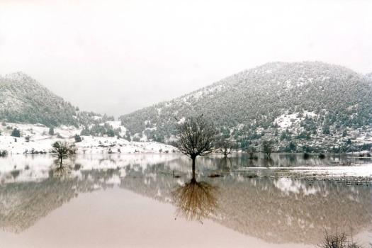 Add Image Description