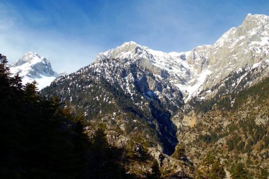 Add Image Description